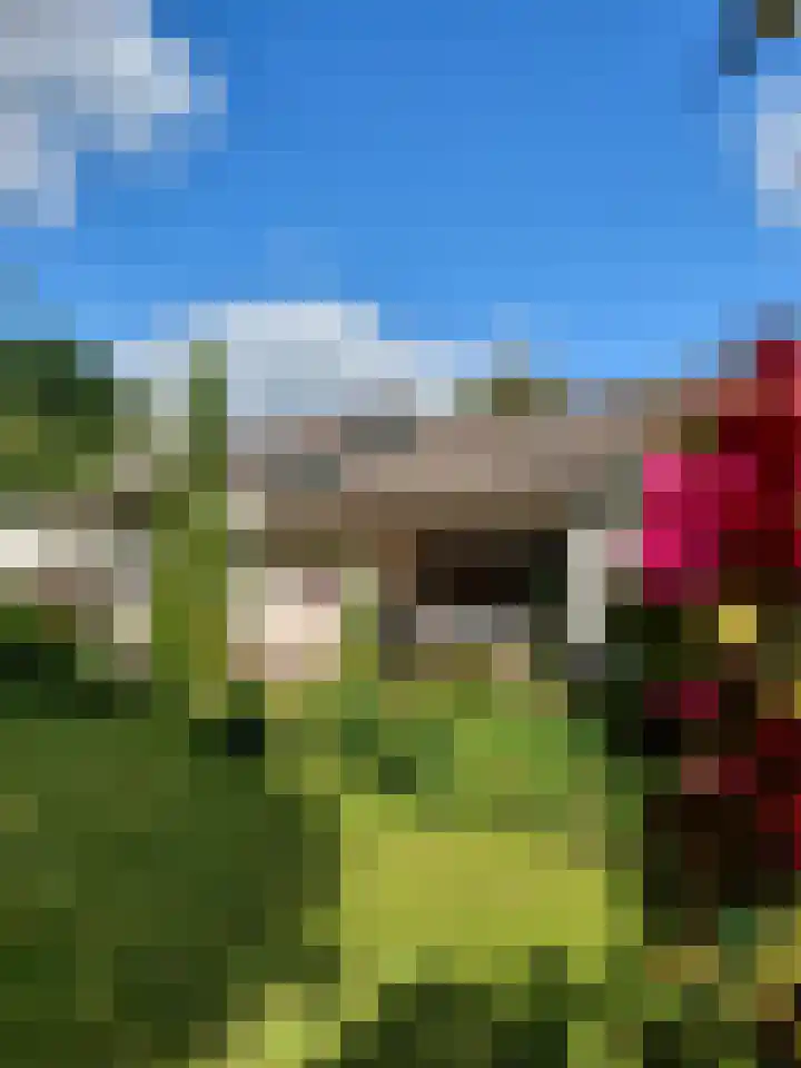 de Zaalsteden 21 Gieten thumbnail 40