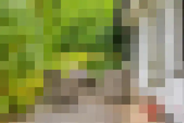 de Zaalsteden 21 Gieten thumbnail 41