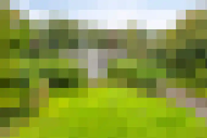 de Zaalsteden 21 Gieten thumbnail 42