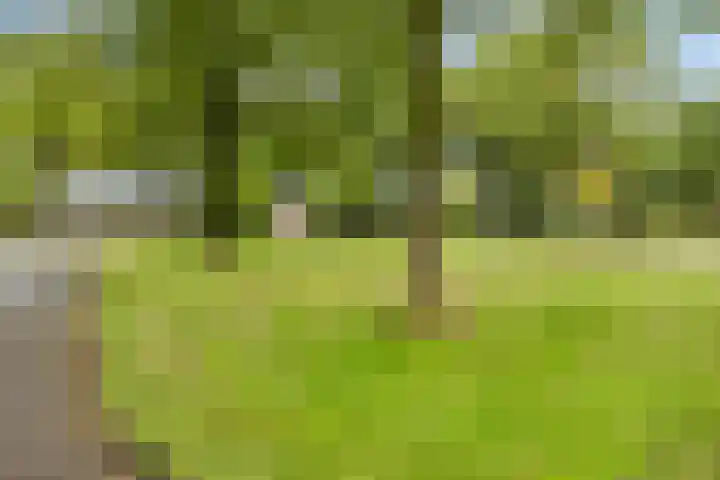 de Zaalsteden 21 Gieten thumbnail 43