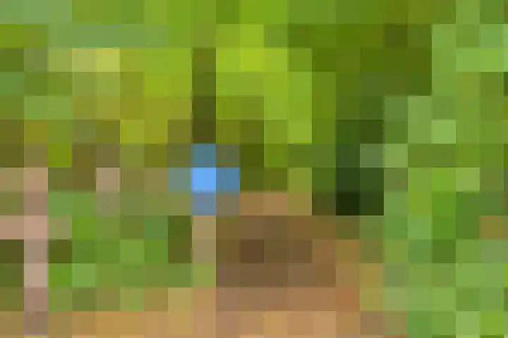 de Zaalsteden 21 Gieten thumbnail 44