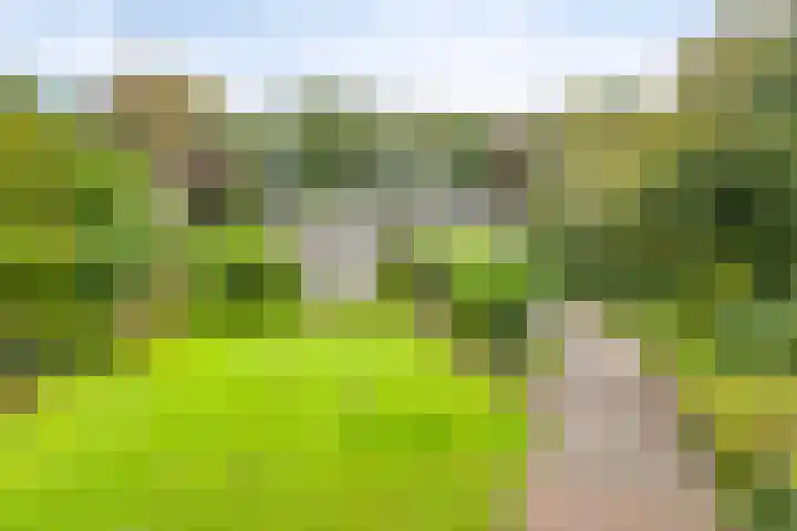 de Zaalsteden 21 Gieten thumbnail 6