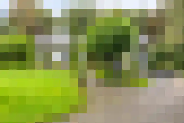 de Zaalsteden 21 Gieten thumbnail 7