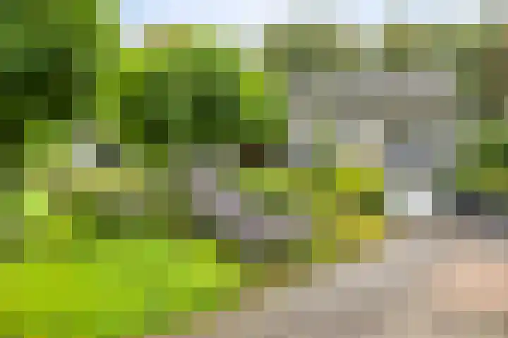 de Zaalsteden 21 Gieten thumbnail 8