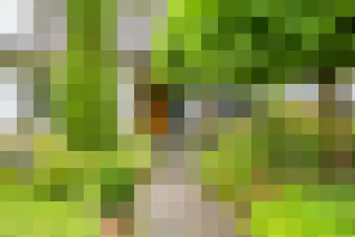 de Zaalsteden 21 Gieten thumbnail 9