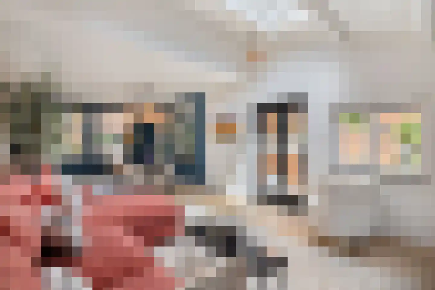 de Zaan 31 Woerden thumbnail 10