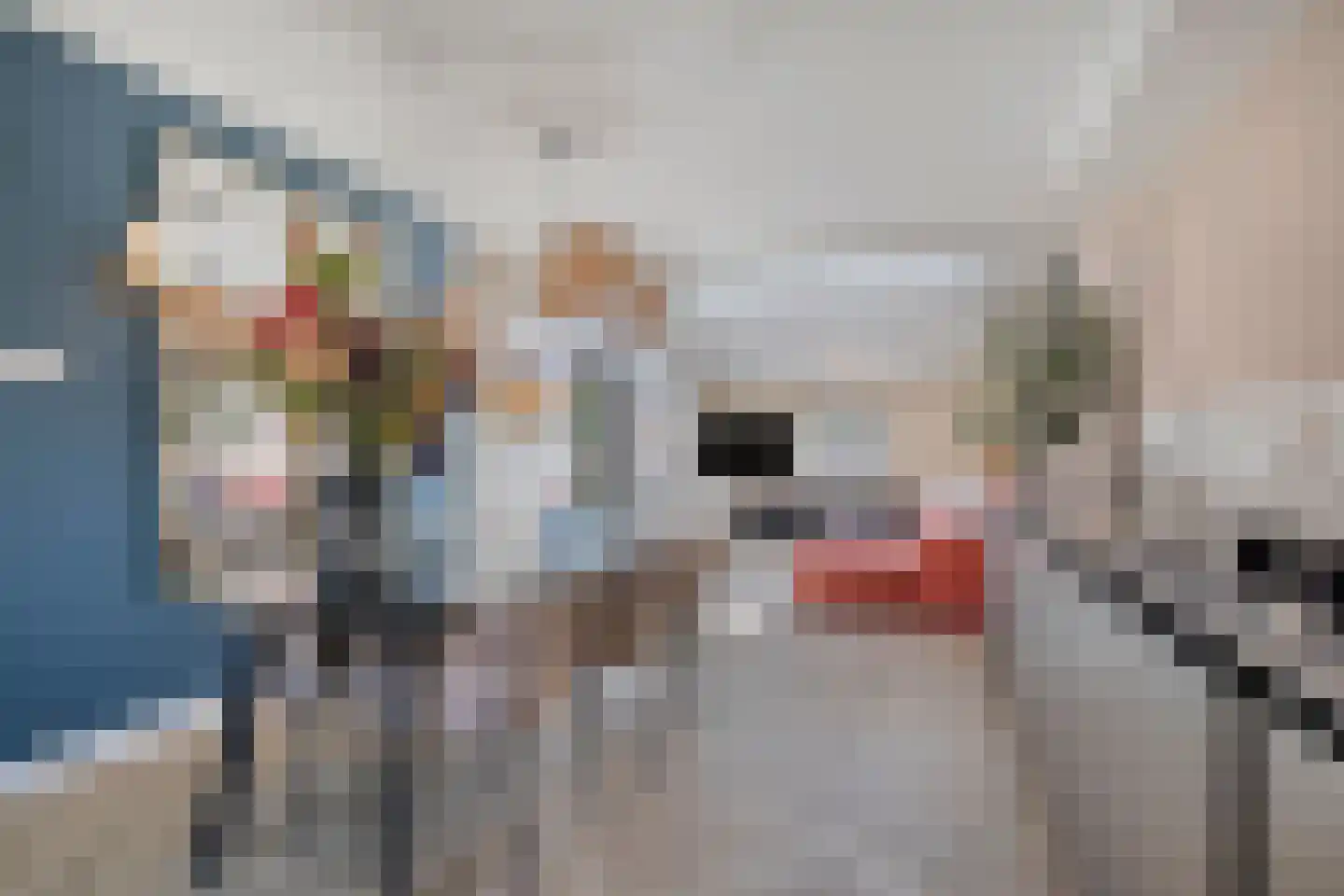 de Zaan 31 Woerden thumbnail 11