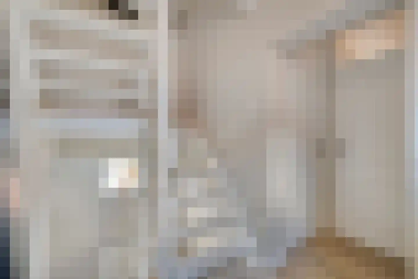 de Zaan 31 Woerden thumbnail 18