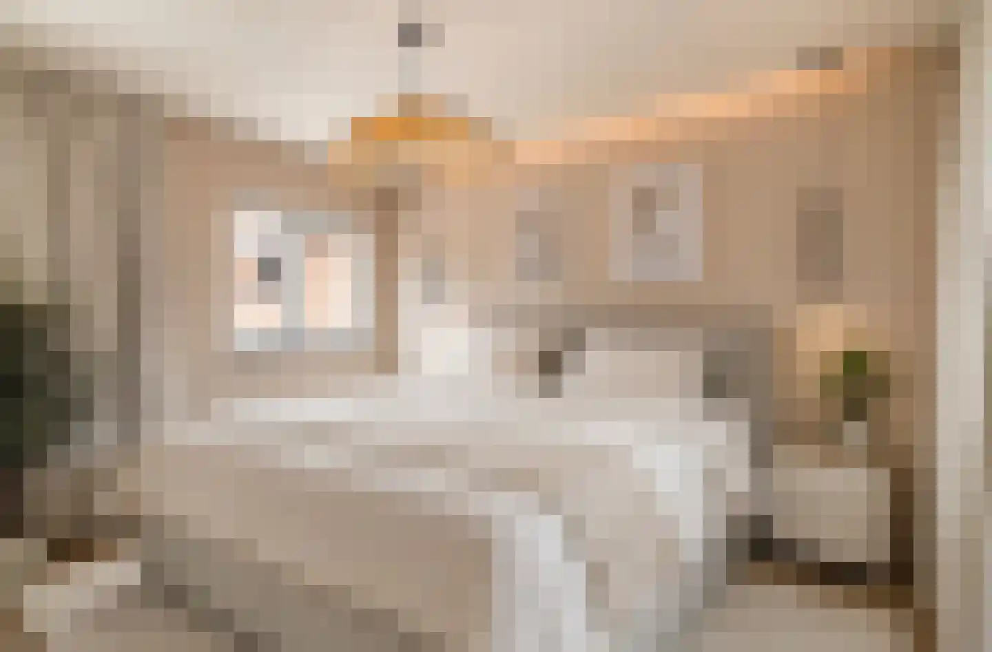 de Zaan 31 Woerden thumbnail 19