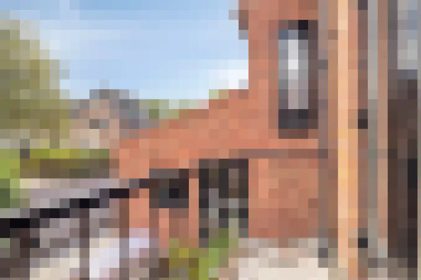 de Zaan 31 Woerden thumbnail 22