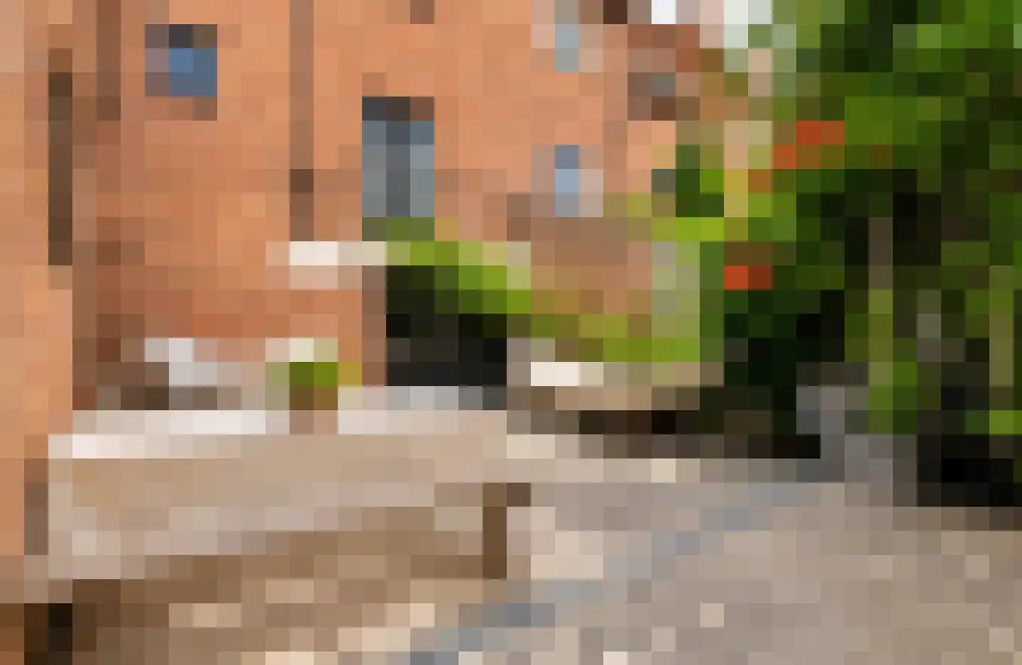de Zaan 31 Woerden thumbnail 36