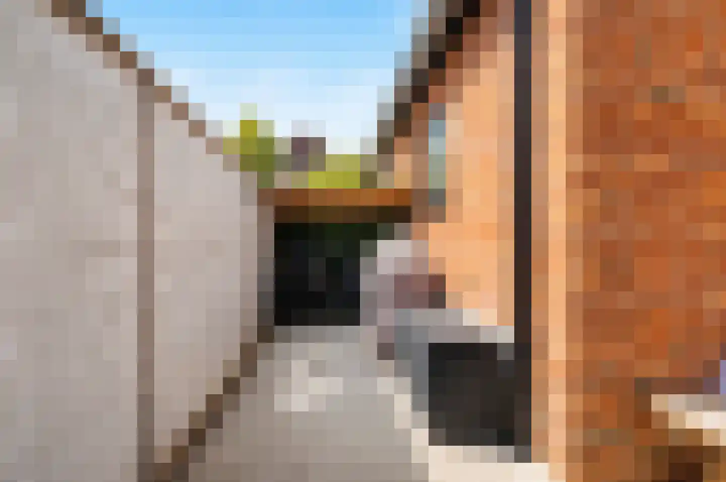 de Zaan 31 Woerden thumbnail 37