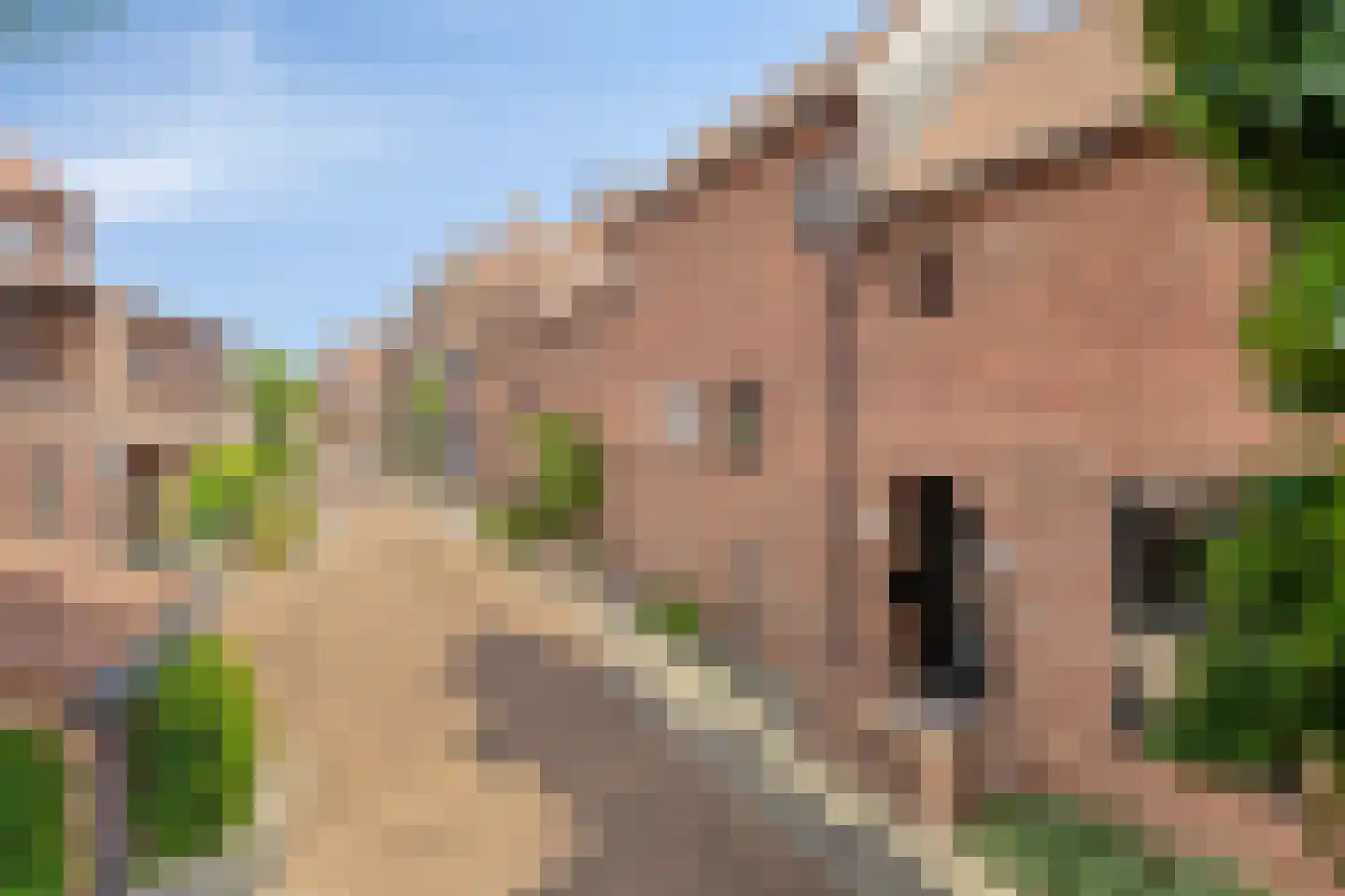 de Zaan 31 Woerden thumbnail 4