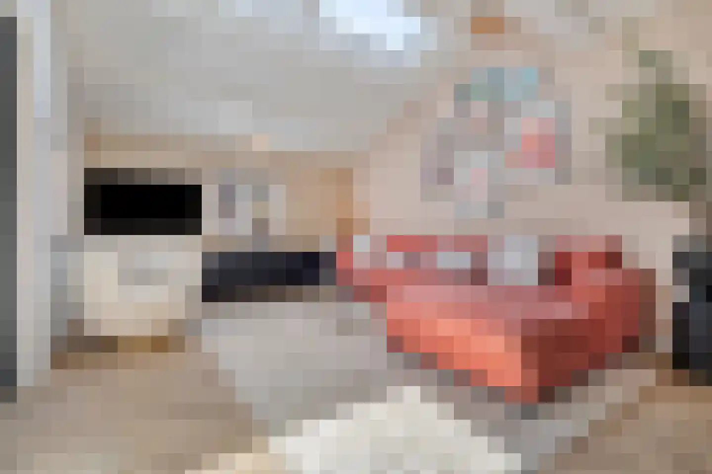 de Zaan 31 Woerden thumbnail 8