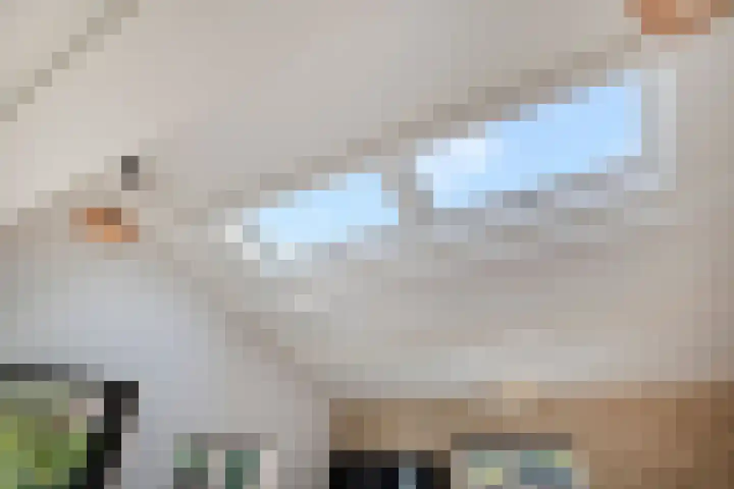 de Zaan 31 Woerden thumbnail 9
