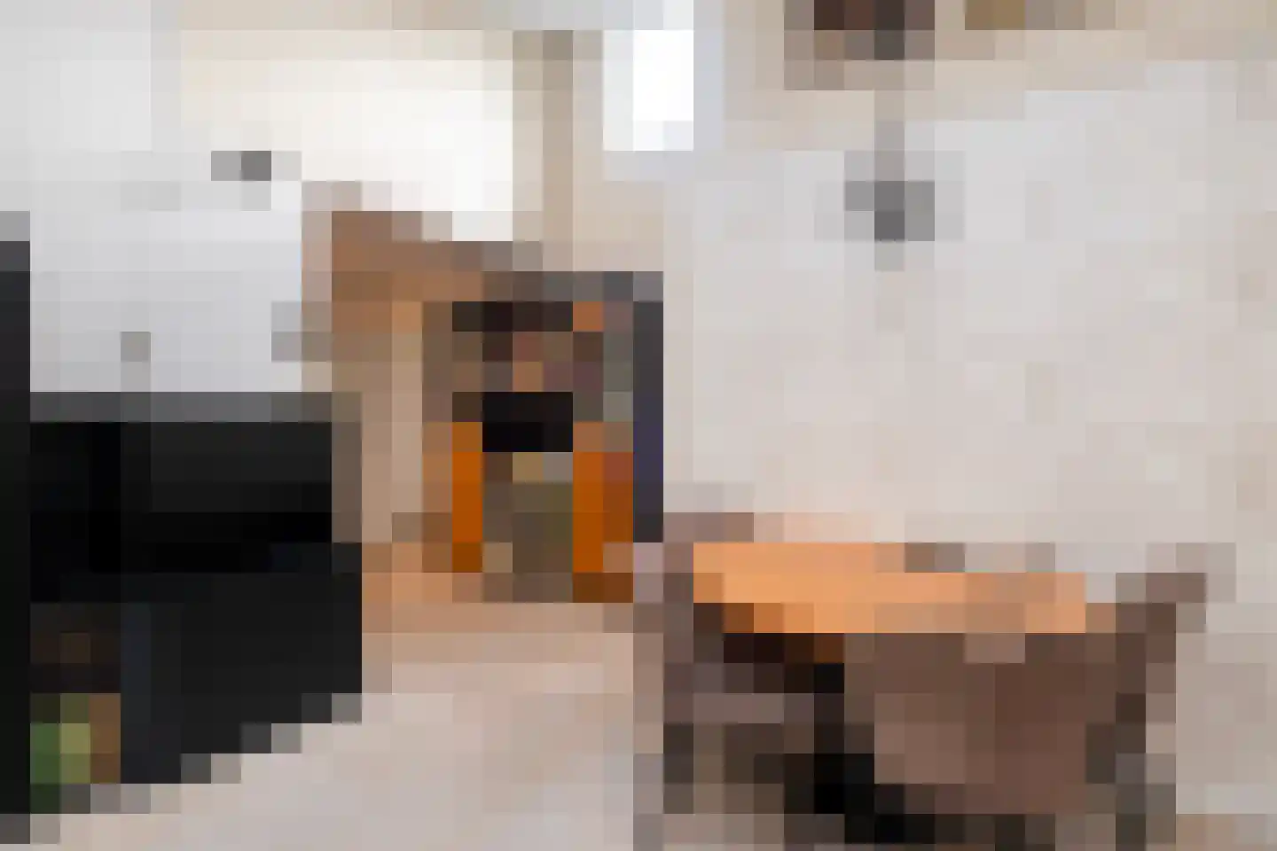 De Zaan 40 Dronten thumbnail 14