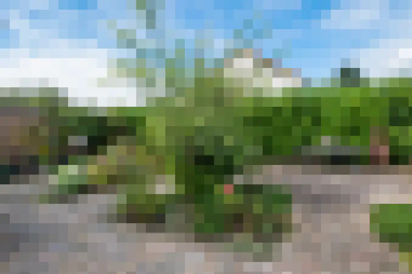 De Zaan 40 Dronten thumbnail 22