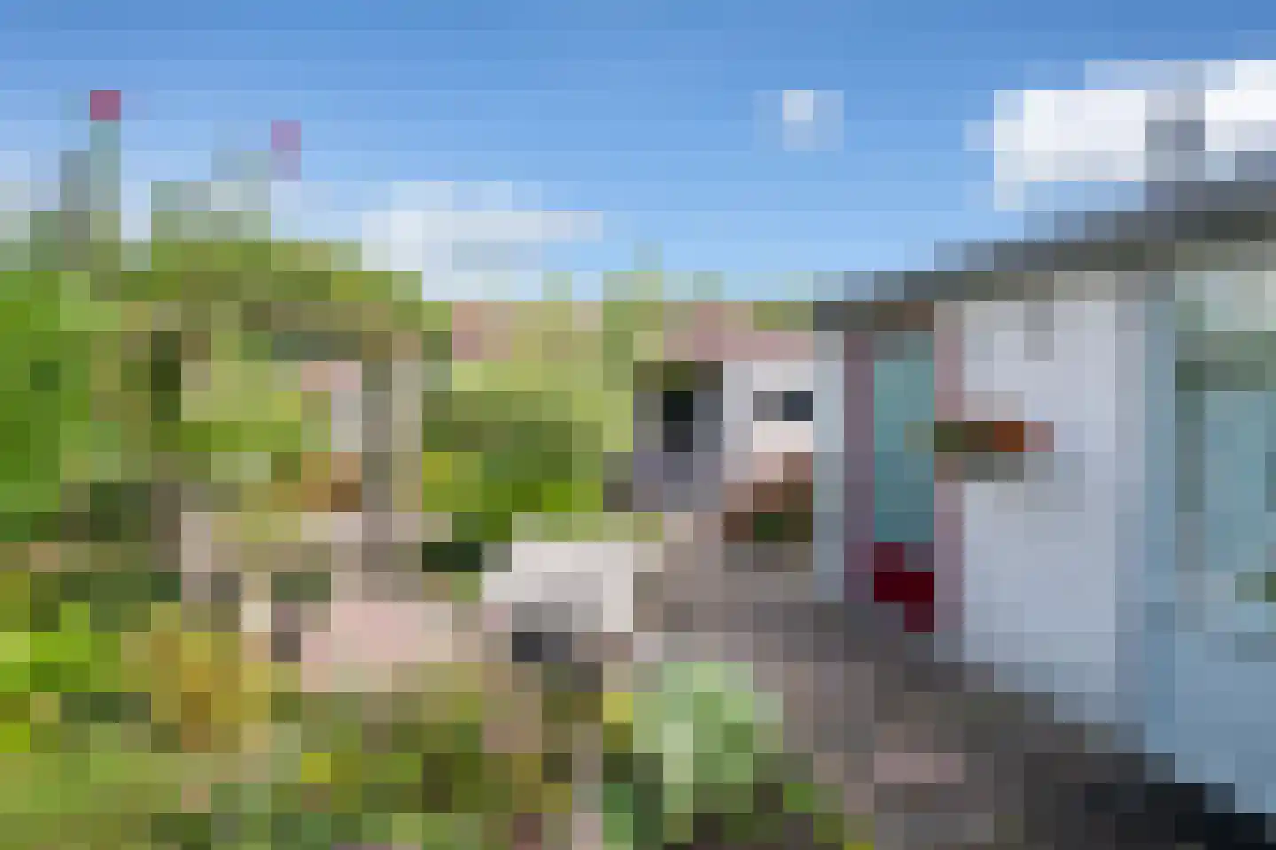 De Zaan 40 Dronten thumbnail 5