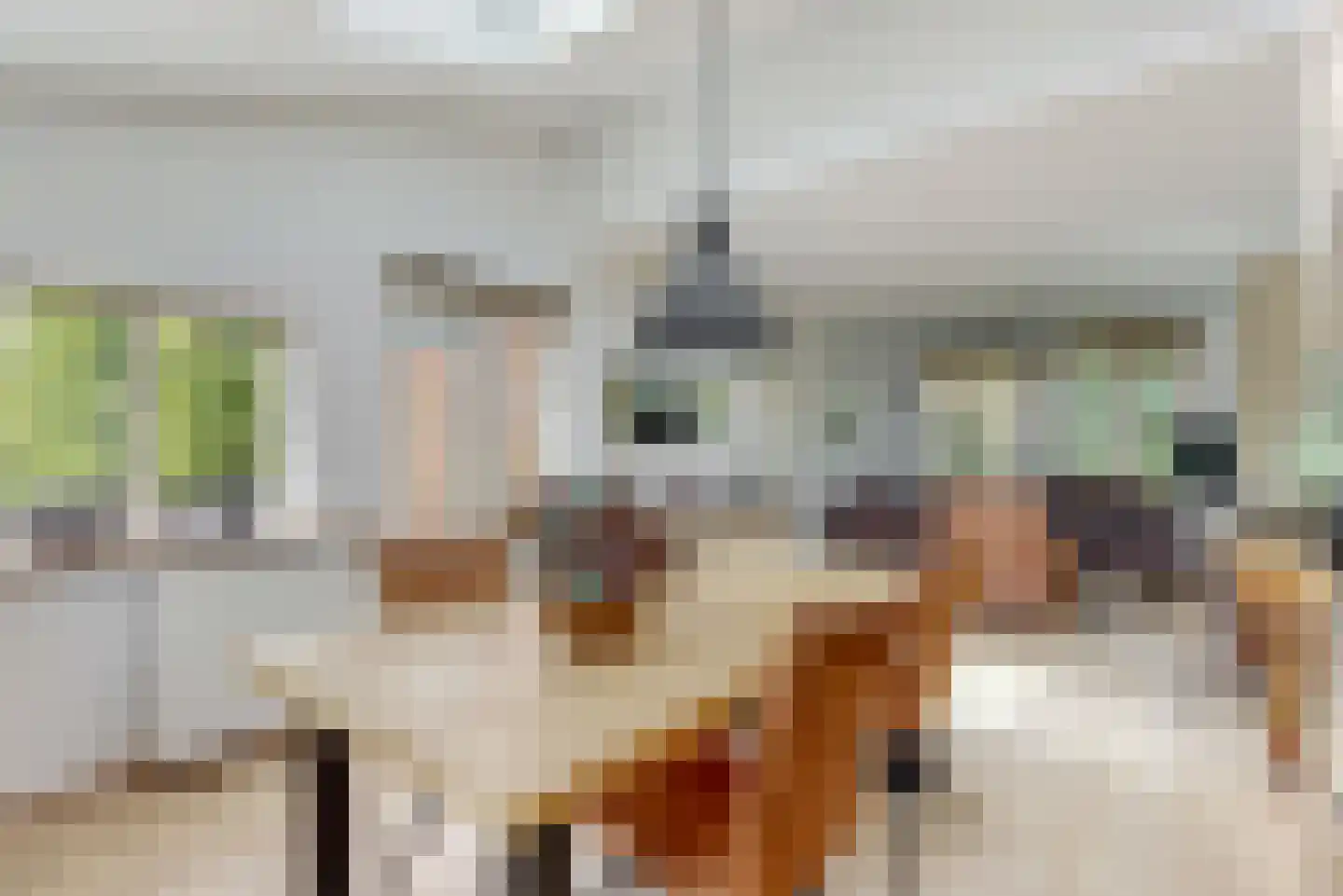 de Zaan 44 Woerden thumbnail 11