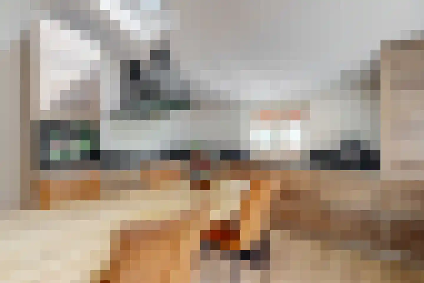 de Zaan 44 Woerden thumbnail 13