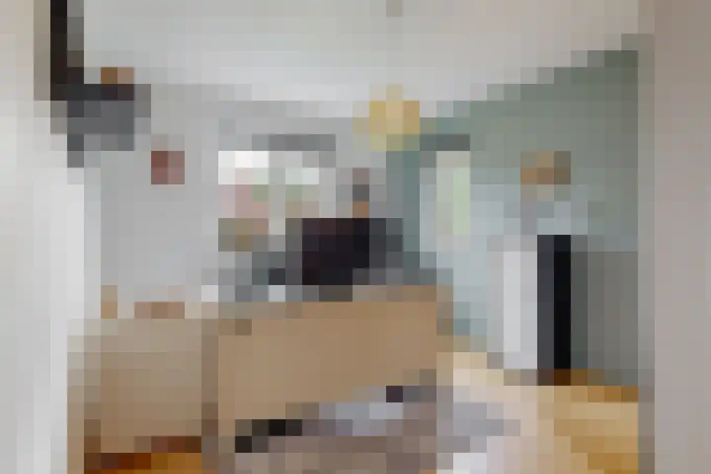de Zaan 44 Woerden thumbnail 17