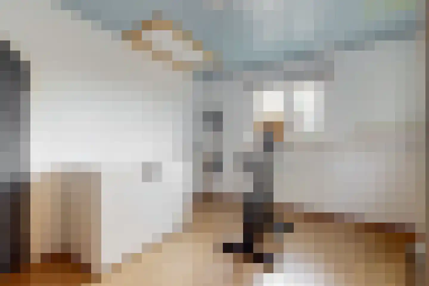 de Zaan 44 Woerden thumbnail 23