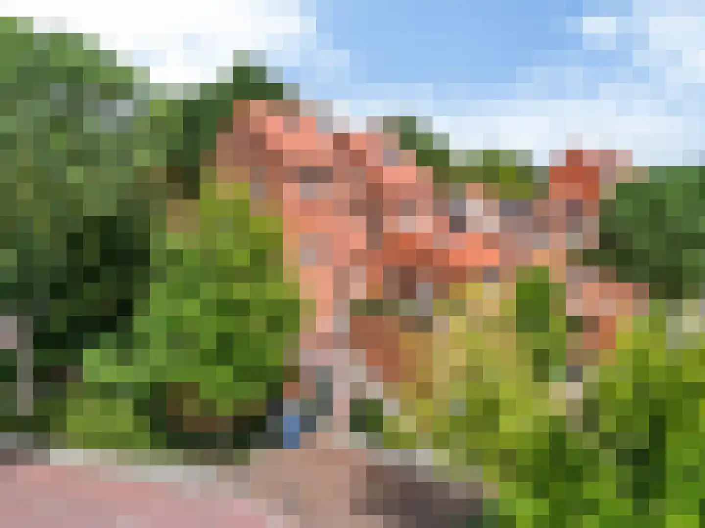 de Zaan 44 Woerden thumbnail 30