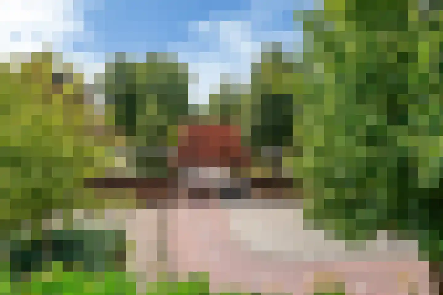 de Zaan 44 Woerden thumbnail 34