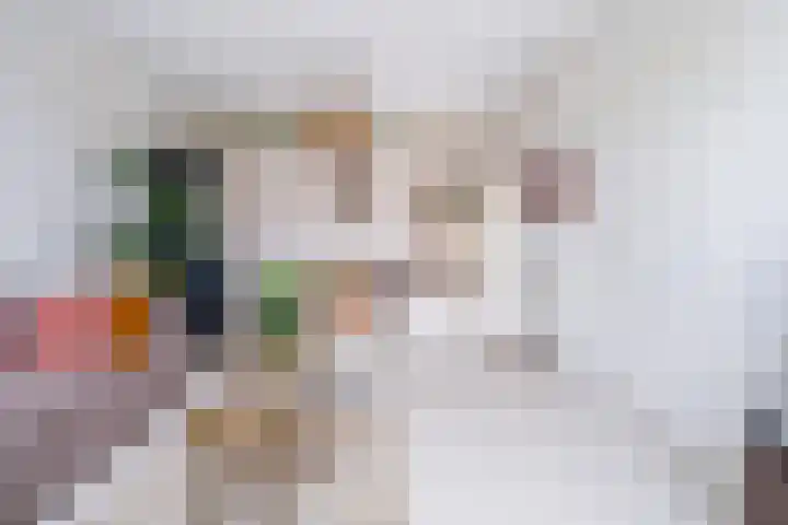 de Zaan 8 Woerden thumbnail 10
