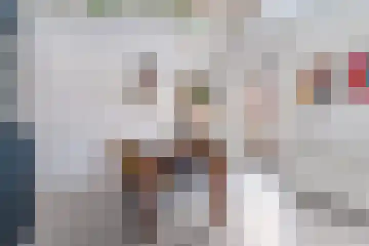 de Zaan 8 Woerden thumbnail 13