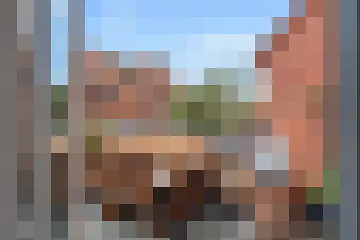 de Zaan 8 Woerden thumbnail 15