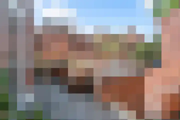 de Zaan 8 Woerden thumbnail 16