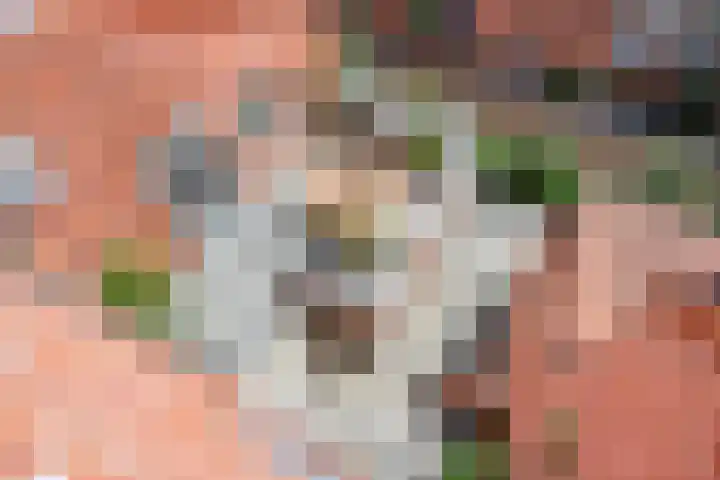 de Zaan 8 Woerden thumbnail 18