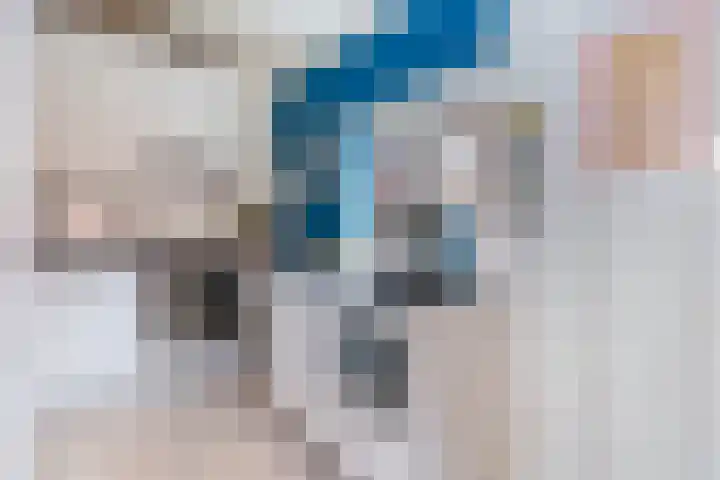 de Zaan 8 Woerden thumbnail 20