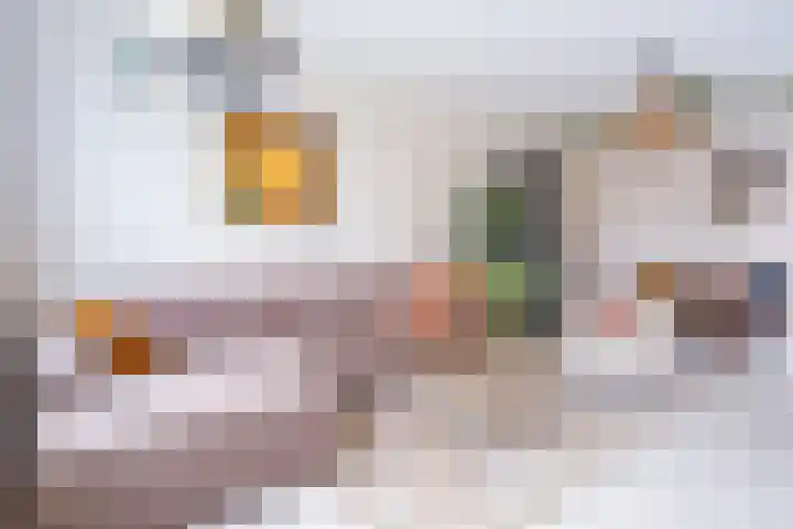 de Zaan 8 Woerden thumbnail 4