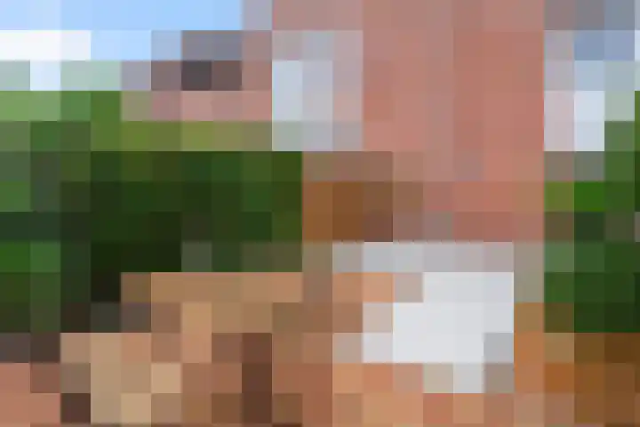 de Zaan 8 Woerden thumbnail 44