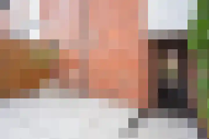 de Zaan 8 Woerden thumbnail 45
