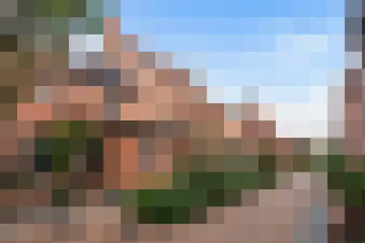 de Zaan 8 Woerden thumbnail 47