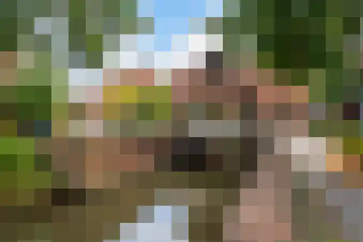 de Zaan 8 Woerden thumbnail 48