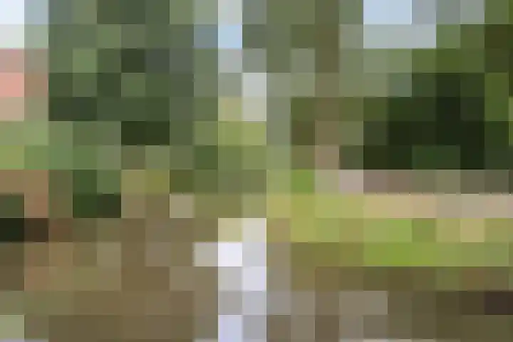de Zaan 8 Woerden thumbnail 49