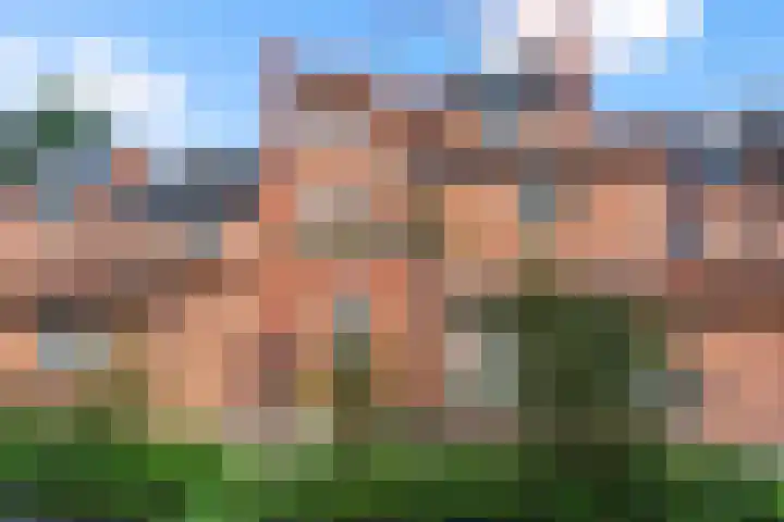 de Zaan 8 Woerden thumbnail 5