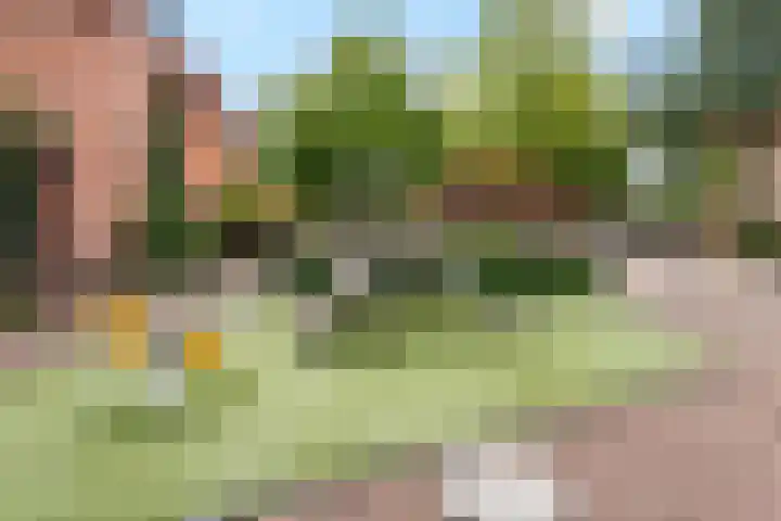 de Zaan 8 Woerden thumbnail 50