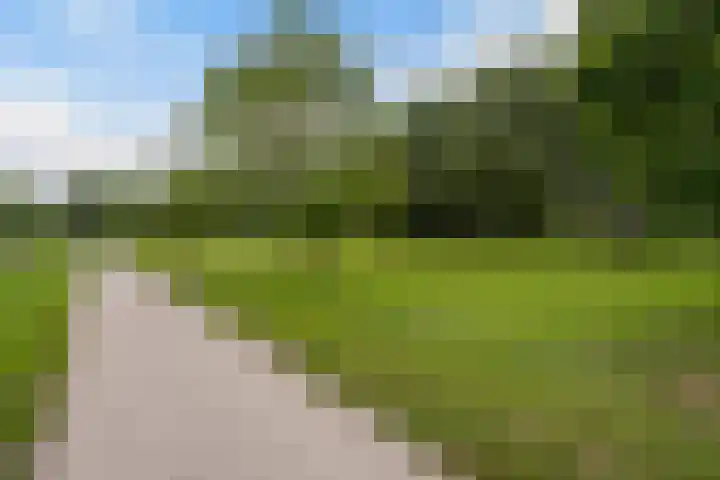 de Zaan 8 Woerden thumbnail 51