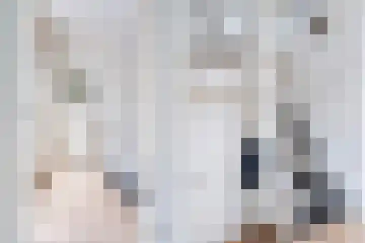 de Zaan 8 Woerden thumbnail 8