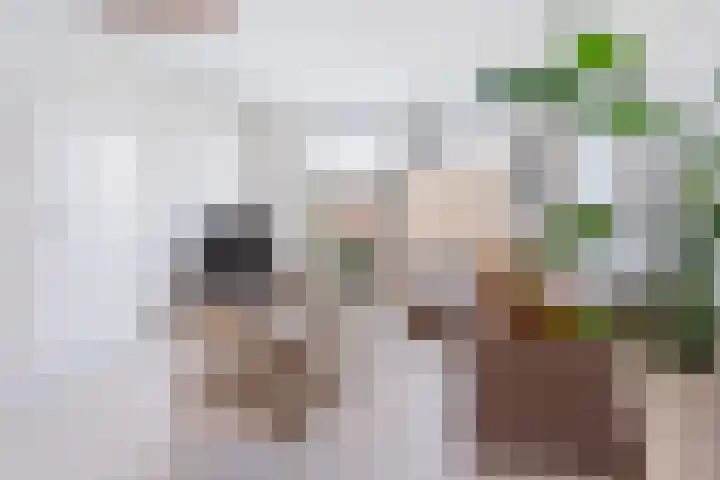 de Zaan 8 Woerden thumbnail 9