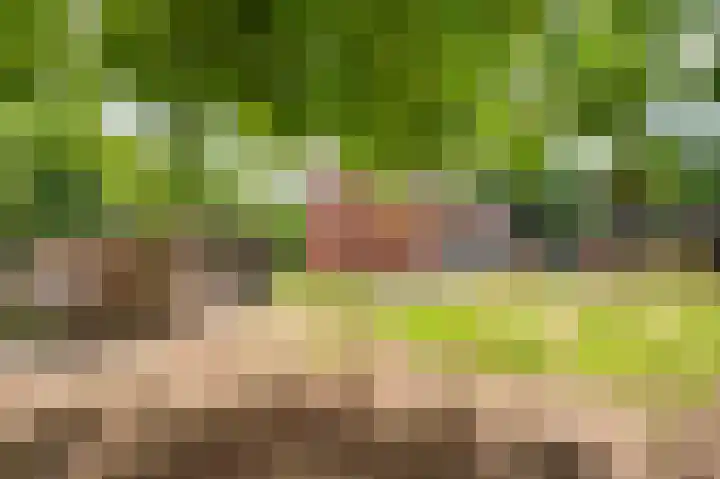 De Zaar 4 Venlo thumbnail 61