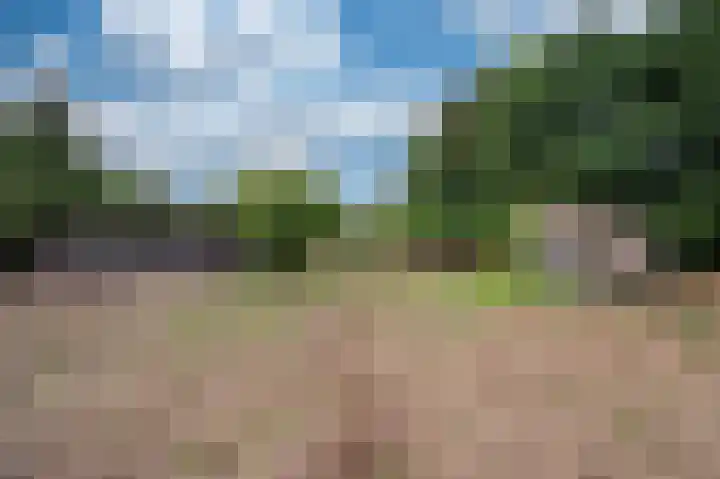 De Zaar 4 Venlo thumbnail 67