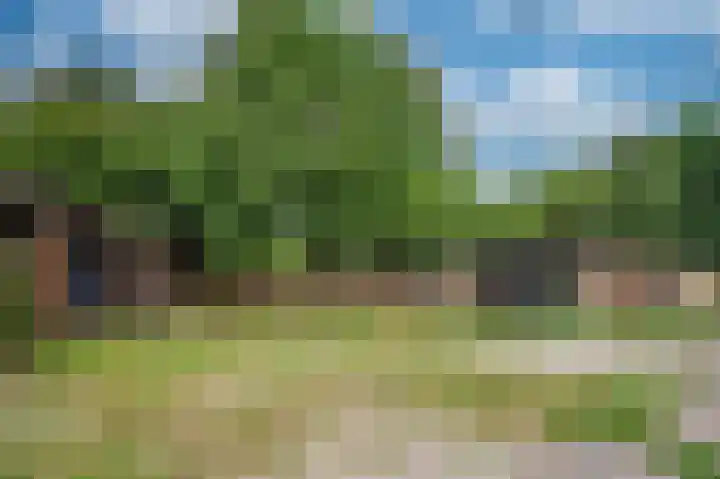 De Zaar 4 Venlo thumbnail 71