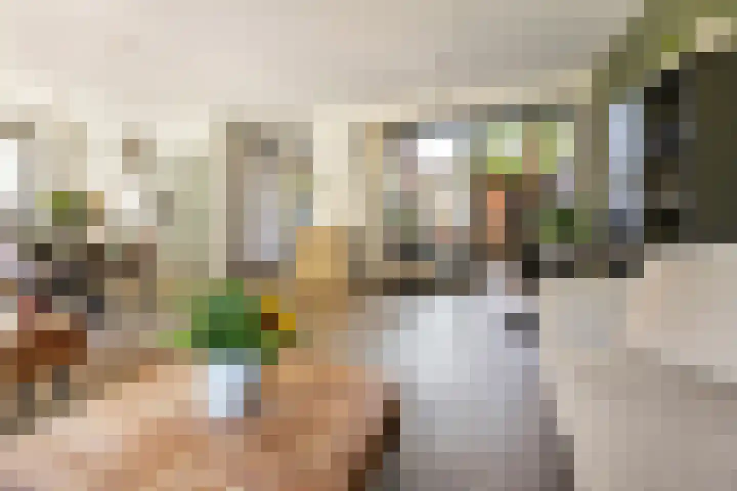 De Zaayer 42 Groningen thumbnail 18