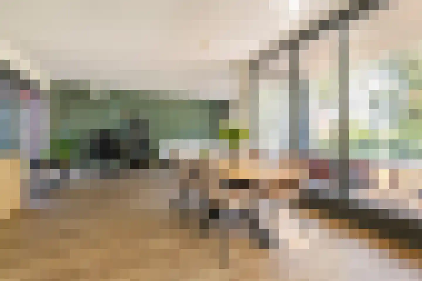 De Zaayer 42 Groningen thumbnail 24